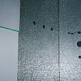 CUSTOM WHITE GOLD GLASS SHOWER